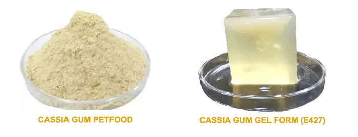 Cassia Gum Powder with Gel - E427